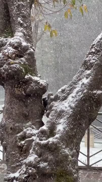 ������ �� �������