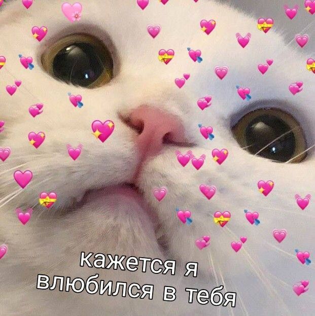 ��� ����� ������ � ����������� ������� �� ������� � ���������