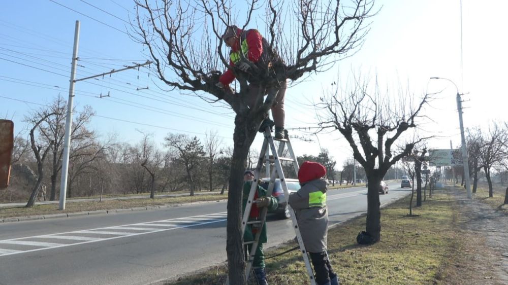 � �������� �������� ������ �� ����������� ������� ��������