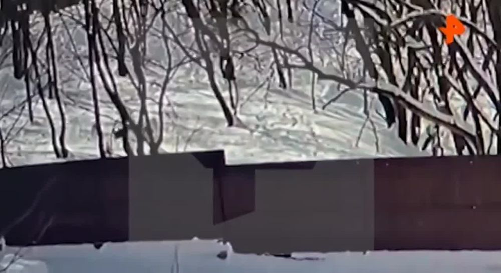 ��������� �������� ����� ��������� ����� �� 9-������ ������� � ����������