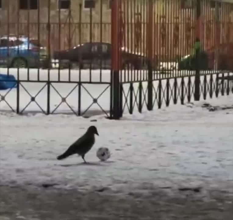 ������� ��������� ����������, ��� � ������ ������ ������ ������ � ������