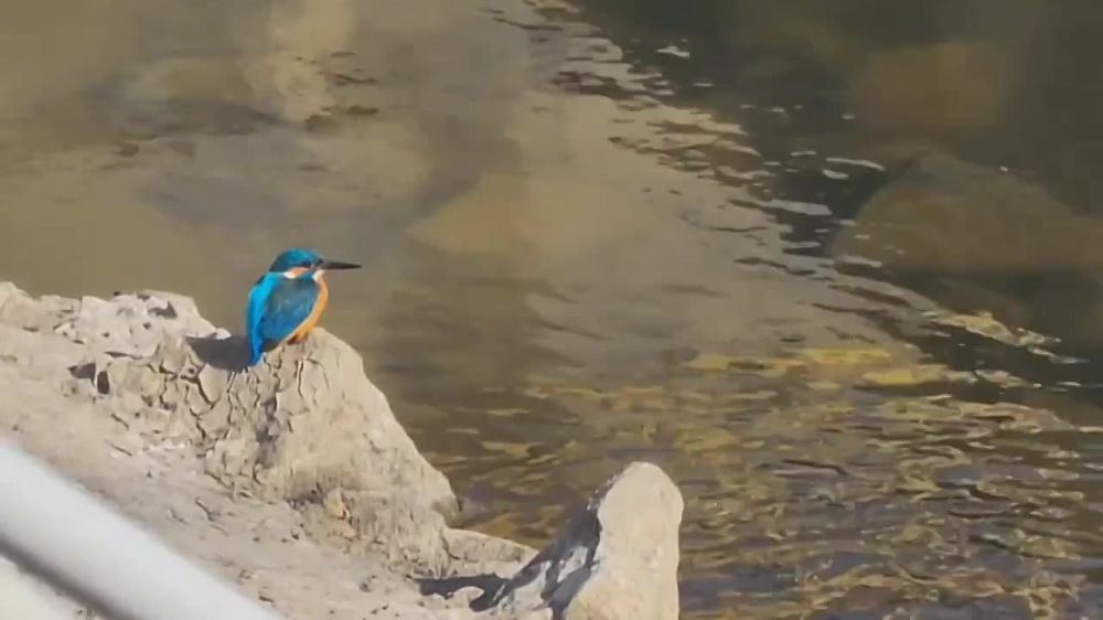 ��������� ������� �� �������� � ������ �� �����