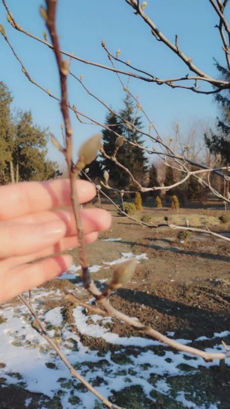 �������� ������� ����� ������� � ��������������� �������