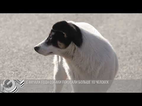 ���� �������� ����� � �������� ��� � ������ ������ �� ��������� ����� ������ ������� ��� �������