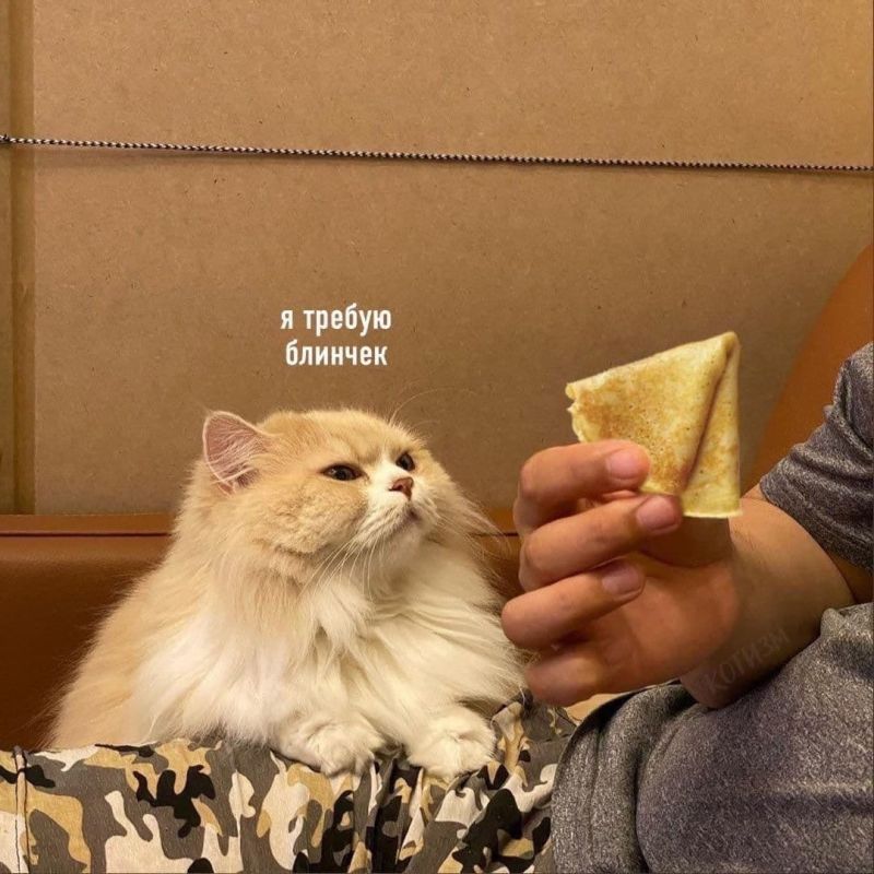 ������� ������ ���� ����������� ������ � ��������