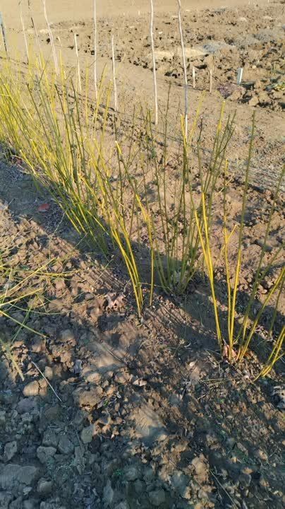 �������� �������: ���������� ���������������� ������� �� ������� �������� - ���� �����!