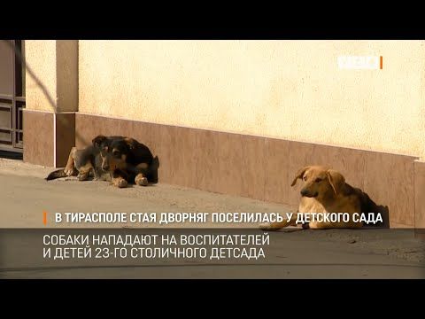 ������ �������� �� ������������ � ����� 23-�� ���������� �������