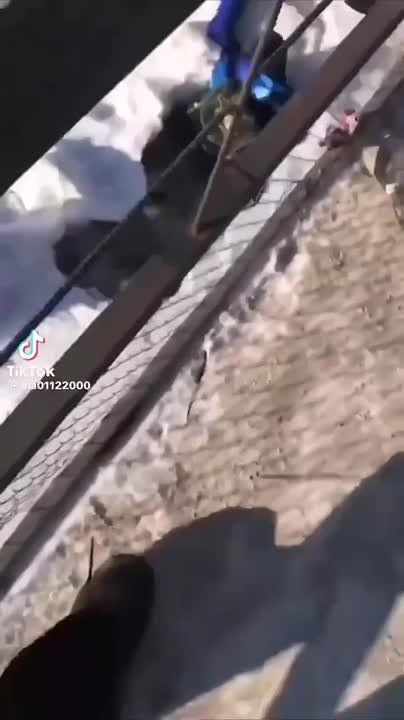 ����� �� ������. ������� ������� ������, �������������� ��� ��. ��� ����������� �� ��������� ������� ����! � ������������� �� ����� �����: