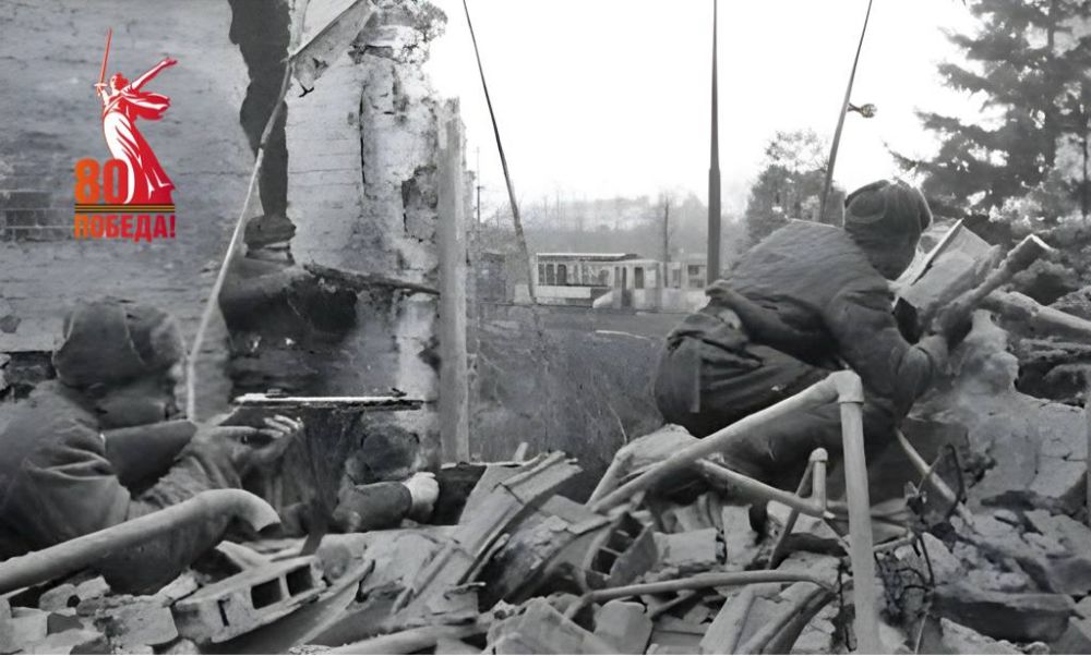 ������ ���������: � ���� ���� 80 ��� �����