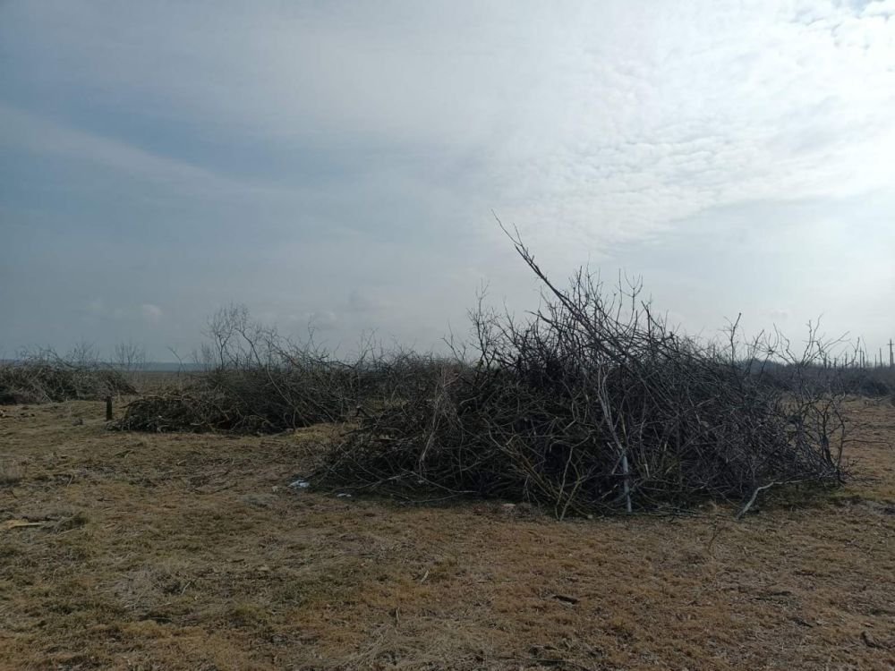 ��� ��� �������� ������� �������