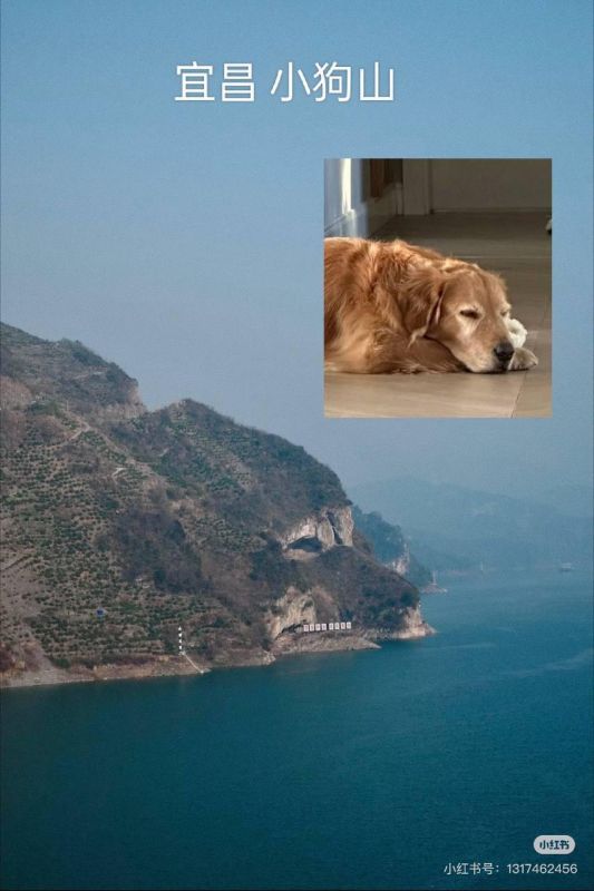 � ����� �������� ���������� �������� ����