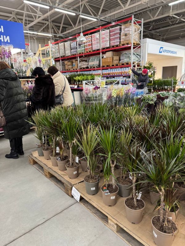 � ������������ ��������� ���