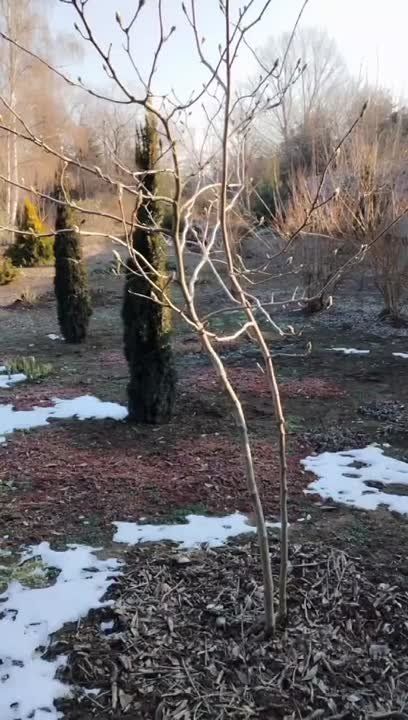 ��������� ��� � ��������