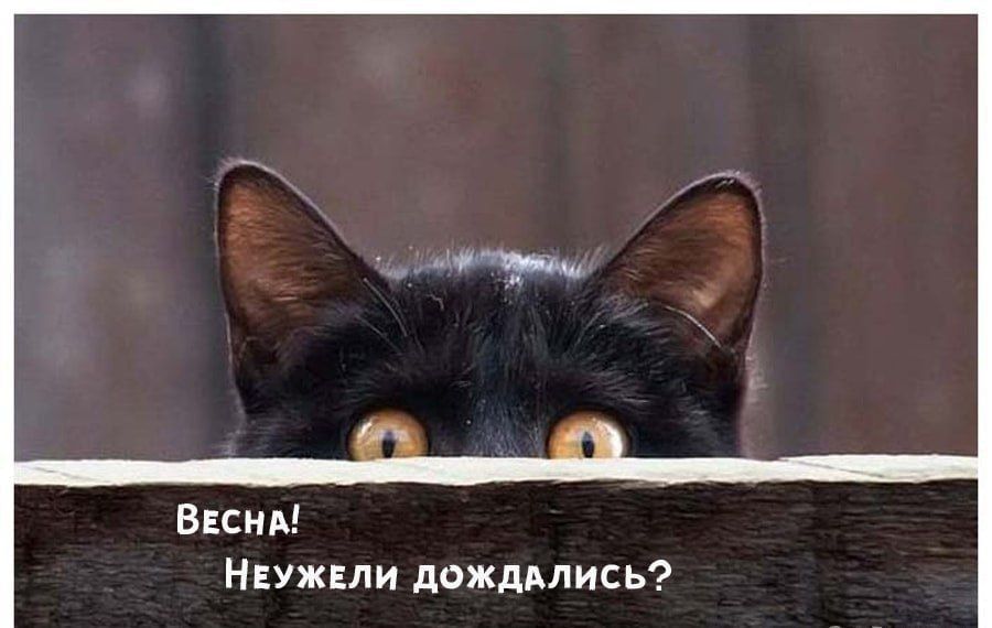 � ������ ���� �����!