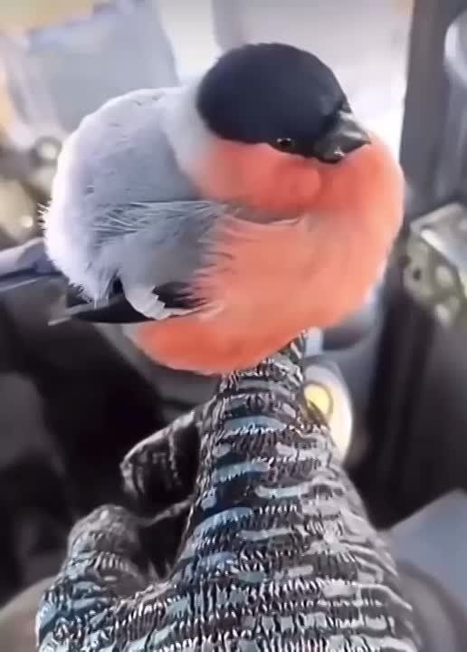 ������� �� ���� ���������