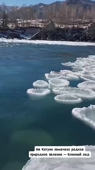 "������� ��" �������� � ������ ���� ����� �� ������ (�����)