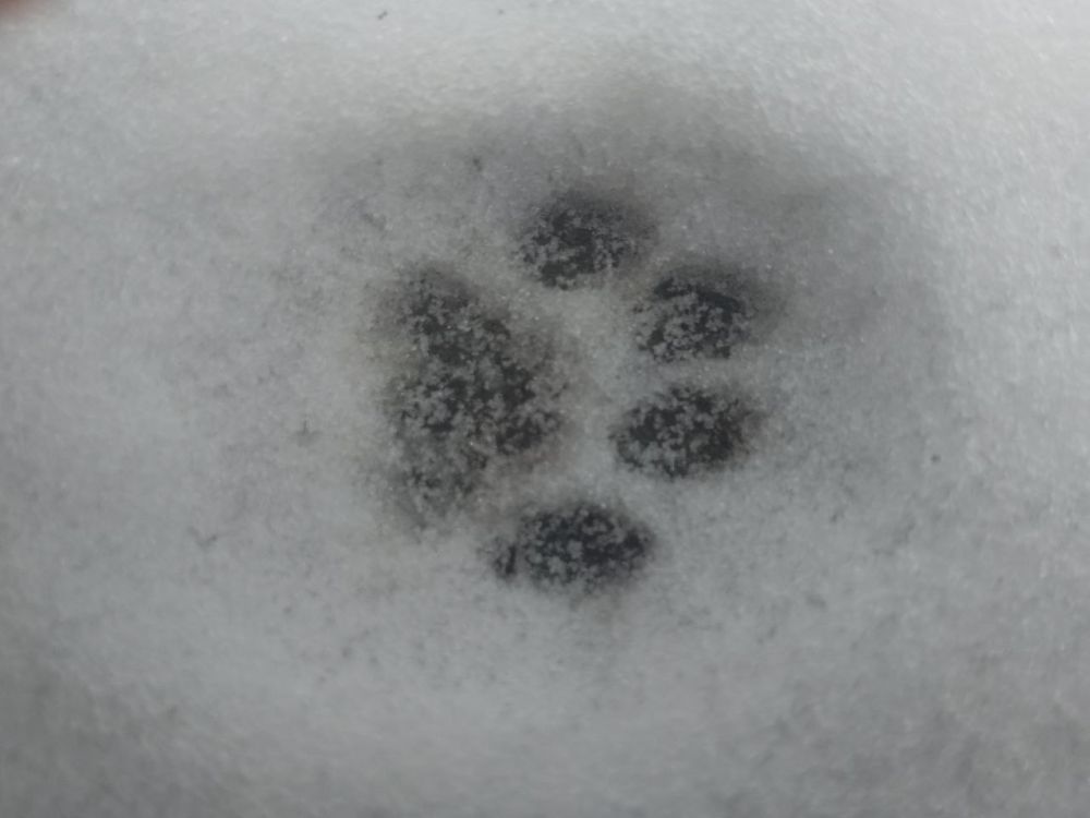 1 ����� � ������ ���������� ��������� ���� �����