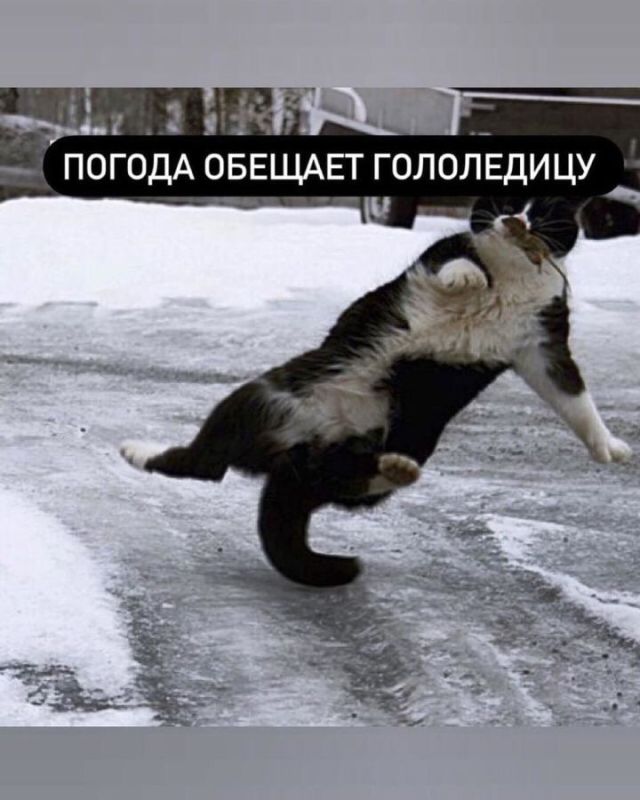 �������������: 3 ����� ��������� ���������� � �����