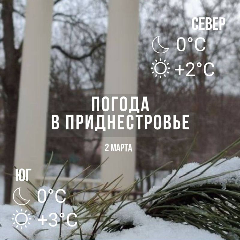 ���� � �� +3��. ������� � ���� � �����