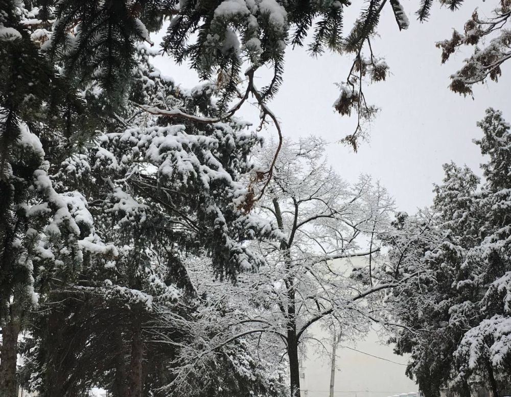 �������� ����.. � ����� ��������� ������ �������� ����� ���������� +16��