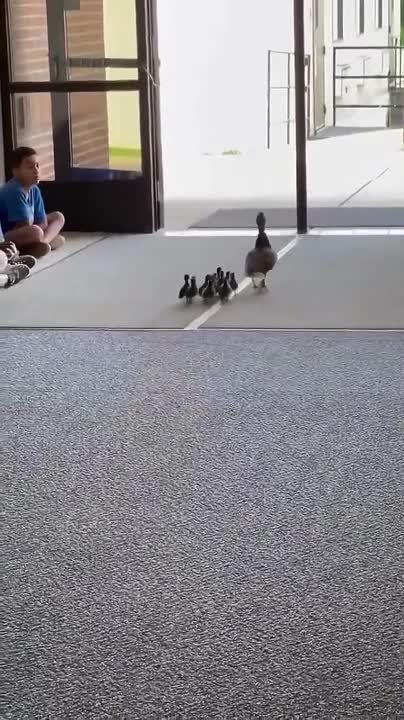 ������ ���: � ��� ���� ����� ������ ����� � ��������� �����, � ���������� ��� ����