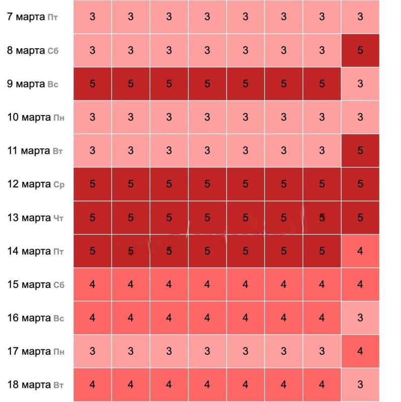 ���� ����� ���� �� ��������� ����