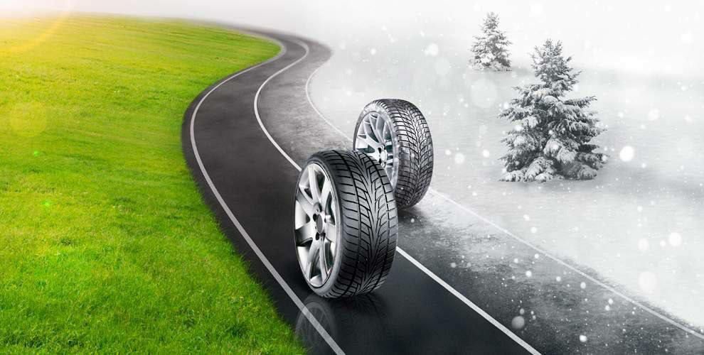 ����� ������ ������ ������ �� ������?