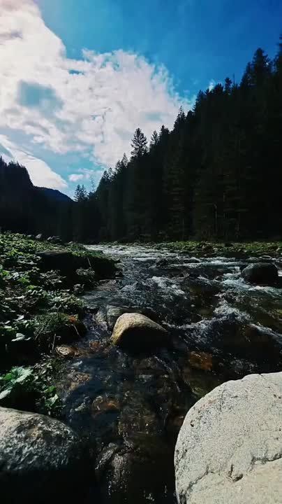 ������ �� �������