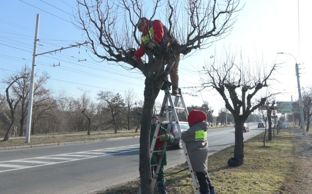 ����� ������. � ���, ����� ����� ��������� ��������, ��������� ���������� ������ ��������������� � ����������