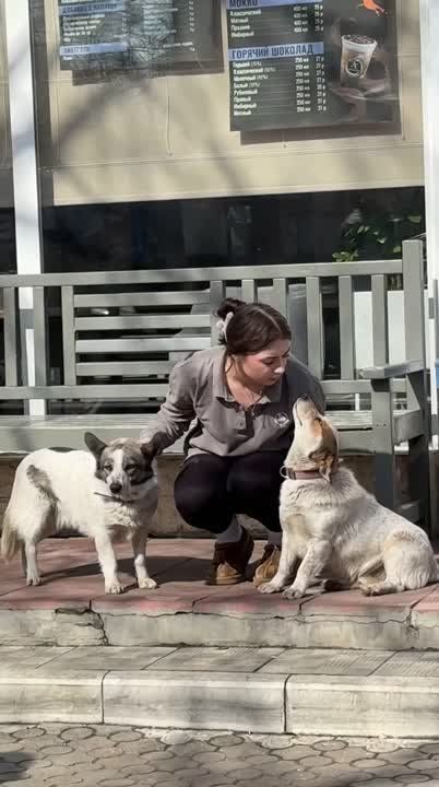 �� ����� ����� � ������