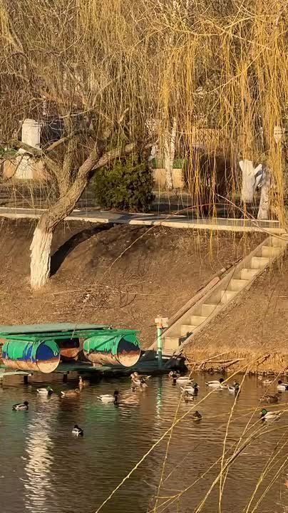 ����� ��������� � ���������� ���� � �������