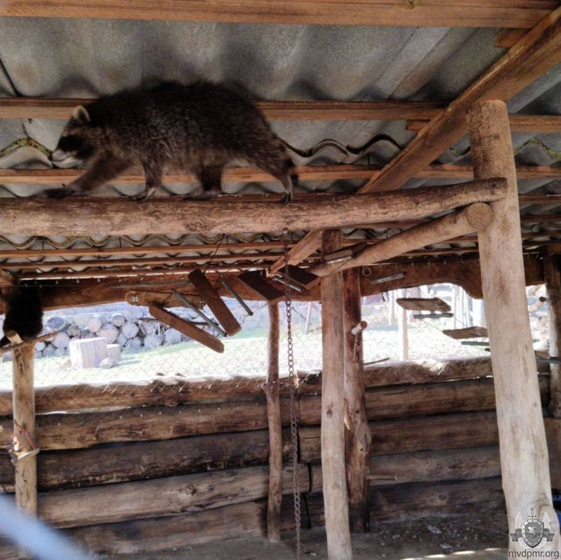 Новый день – новые впечатления