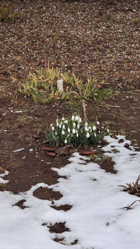 ������ � ������������ ���� ��������� ���������� �����������