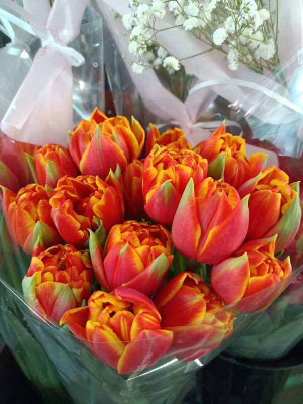 Парад тюльпанов на Зелёном рынке