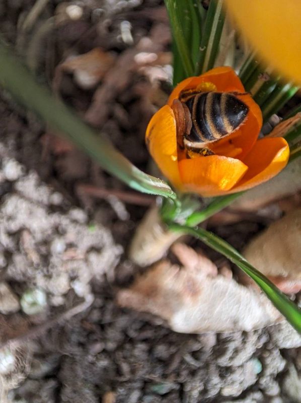 ����� ������ � �������. ���� �������� �� ������