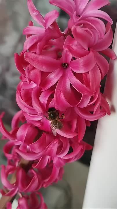 �� �������� �� ������ ��������� �����