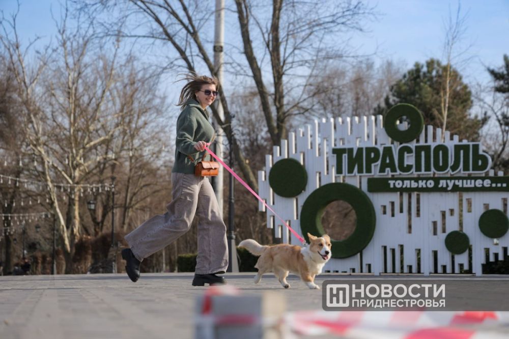 � ������������� ������ �����