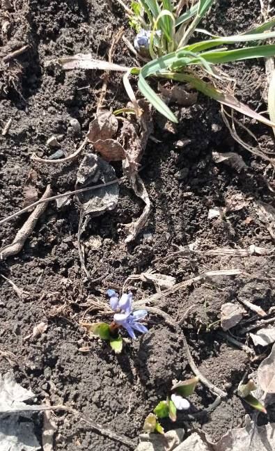 ������������� ������� ����� �������� � ���� �� �������