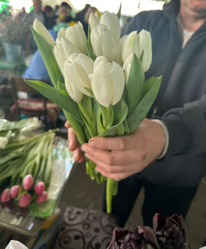 ����� ��������� �������� �� ������ ����� ����� 15 ������