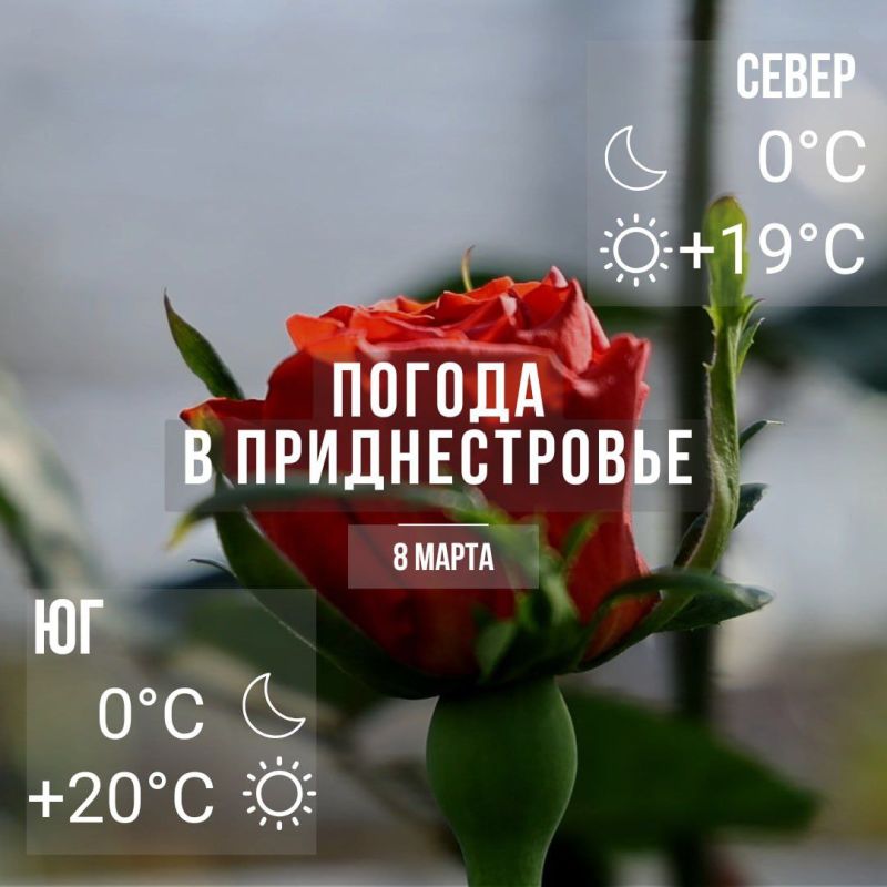 ���� � �� +20��. ��� �������