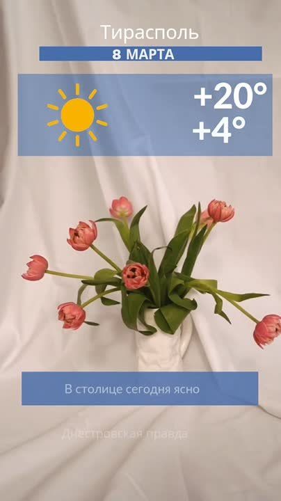 ������ �� �������