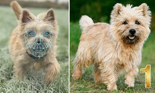 ���������� ����� �������� ������ �����