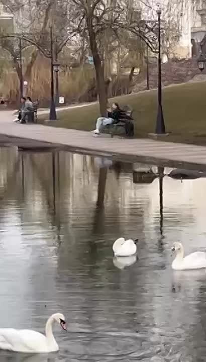 ���� �� �����, ����������� ������