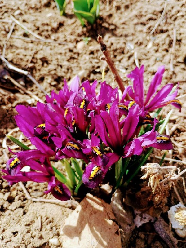 ����� �����������.. ����� ������� ������ �������� ������ � ����������. ������ �� ��� ������