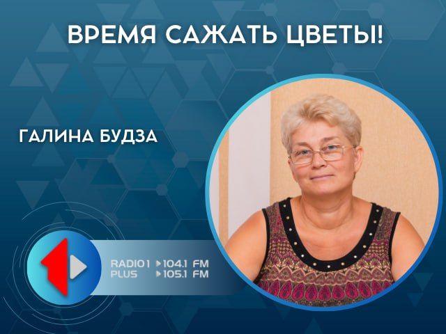 ВРЕМЯ САЖАТЬ ЦВЕТЫ!. Вам подарили много цветов на 8 марта в горшках и с луковицами?