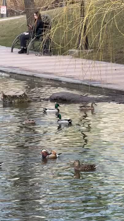 ������� ����������� ������� ��������� ���������� �� ����� � �������������� �����