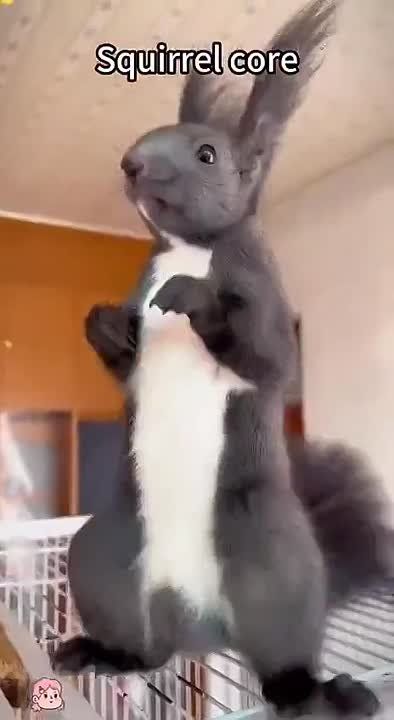 ���������� ���� �� ���� ��������: ����� ����� �������