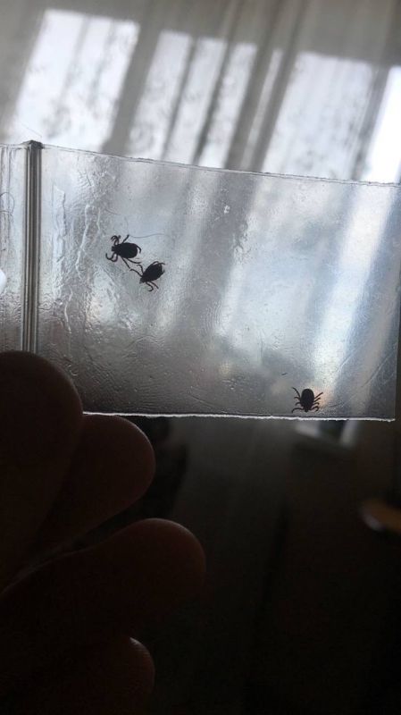 ����� ����������. � �������� ��������� ���� ��������� � ��������� ������