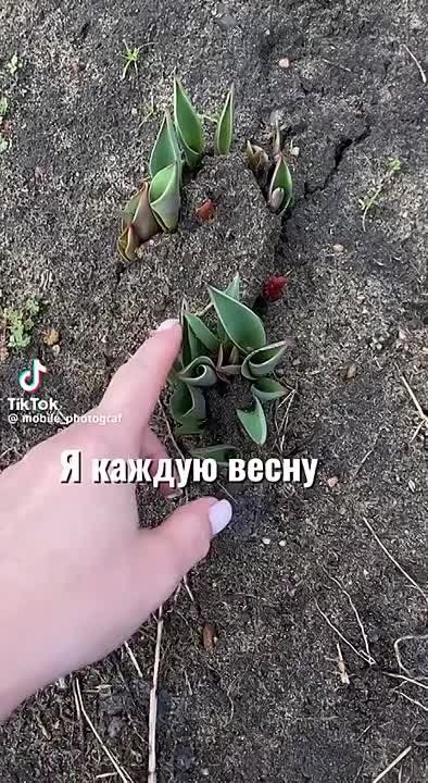 ��� �� � ������ �����, ����� �� ����� ����������