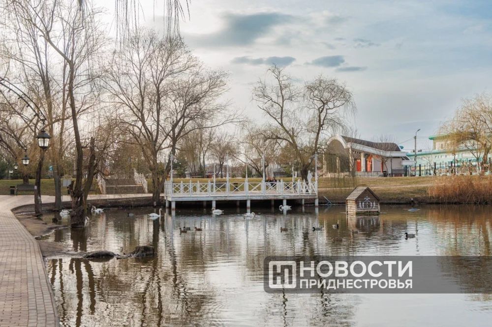 ������ ����� ����� �����. ������������� ������� ������������� ������: ����� � �� ���� 13 ��������, ���� � �� ���� 24